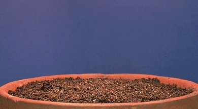 微信图片_20190327164500.gif 微信图片_20190327164500.gif